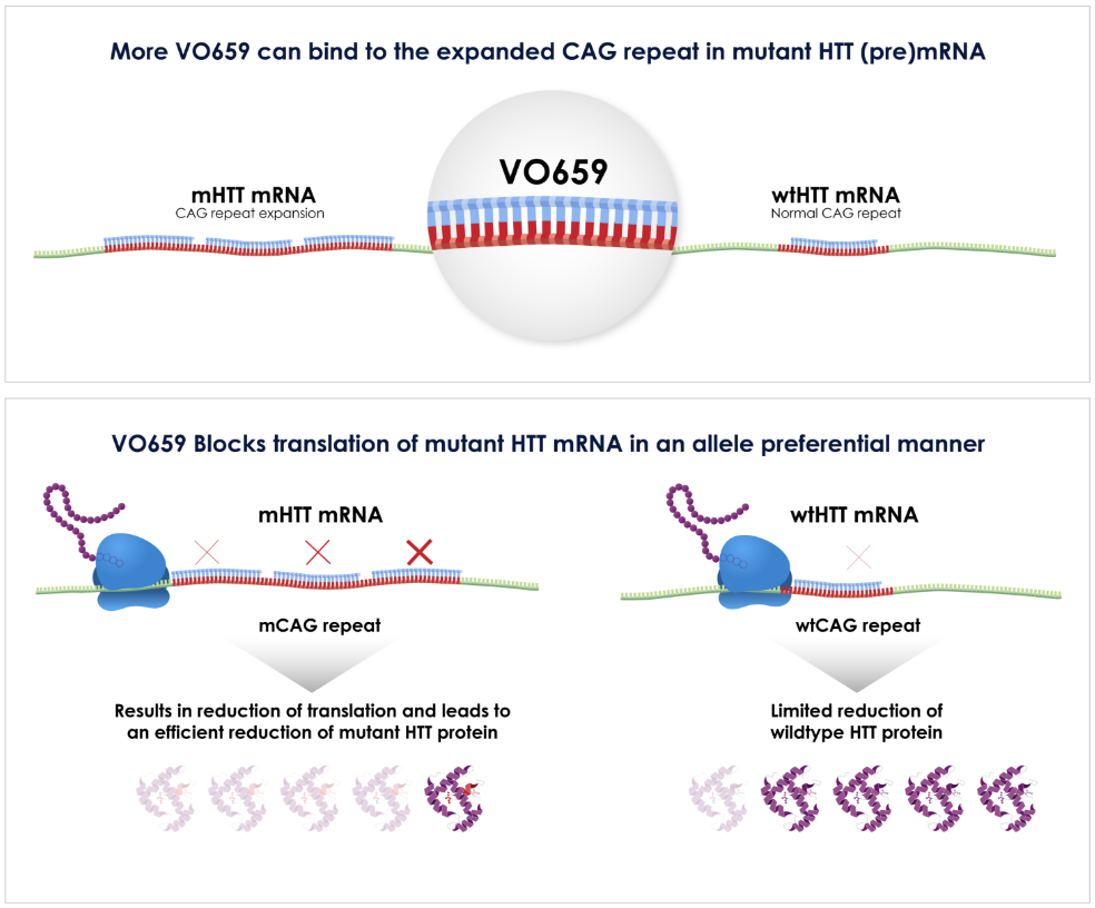 Vo659 mechanism of action diagram